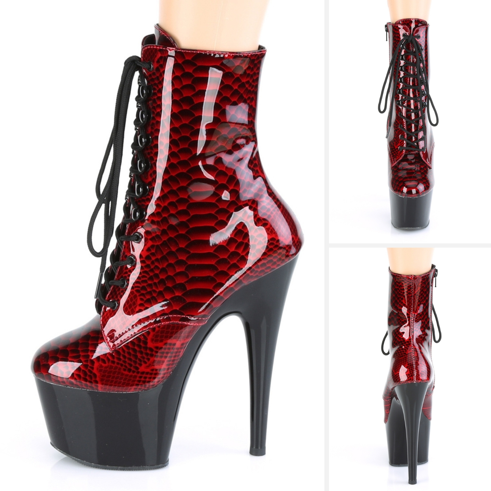 Pleaser laarsjes met snakeprint | Enkelboots van Pleaser zwart rood